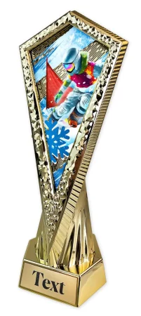 Sportovní trofej AY1M28 | Snowboard Výška 27cm, barva: zlato