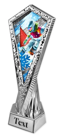 Sportovní trofej AY1M28 | Snowboard Výška 27cm, barva: zlato