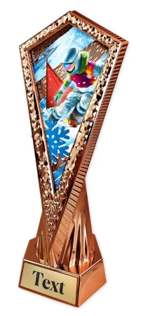 Sportovní trofej AY1M28 | Snowboard Výška 27cm, barva: zlato
