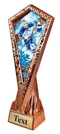 Sportovní trofej AY1M35 | Hokej Výška 27cm, barva: stříbro