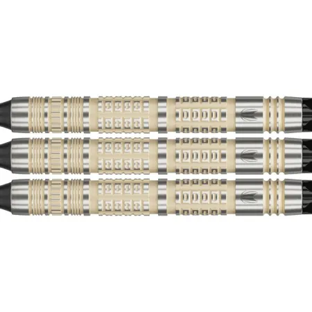 Target - darts Šipky Dimitri van den Bergh - 95K - 18g