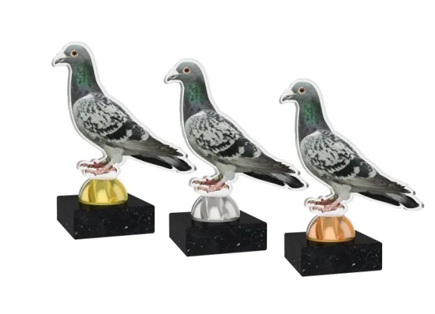 Akrylátová trofej AKEB02M1 | Chovatelství Výška cm: 9, Barva: zlato