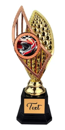 Designová trofej AV1M08 | Motorsport Výška: 31cm, Barva: zlato