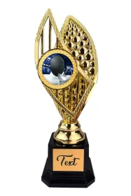 Designová trofej AV1M28 | Šerm Výška: 31cm, Barva: zlato