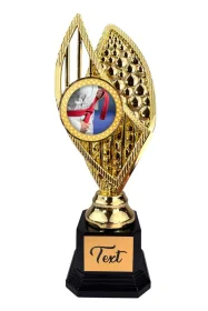 Designová trofej AV1M37 | Bojová umění Výška: 31cm, Barva: stříbro