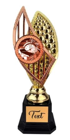 Designová trofej AVR1M13 | Plavání Výška: 31cm, Barva: stříbro
