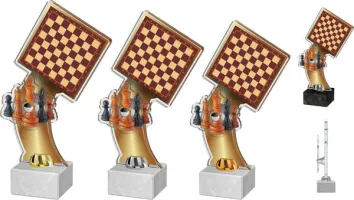 Akrylátová trofej ACTD0048M1 Výška cm: 23,5, Barva: stříbro, Podstavec: černý