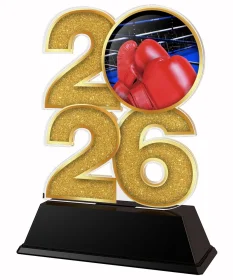Akrylátová trofej C2026M25 | Bojová umění Výška cm: 8.5, Šířka cm: 5, bronz