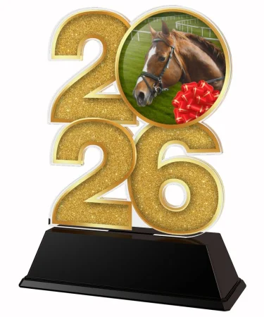 Akrylátová trofej C2026M31 | Jezdectví Výška cm: 12, Šířka cm: 7.5, stříbro