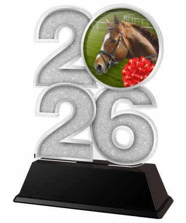 Akrylátová trofej C2026M31 | Jezdectví Výška cm: 12, Šířka cm: 7.5, stříbro