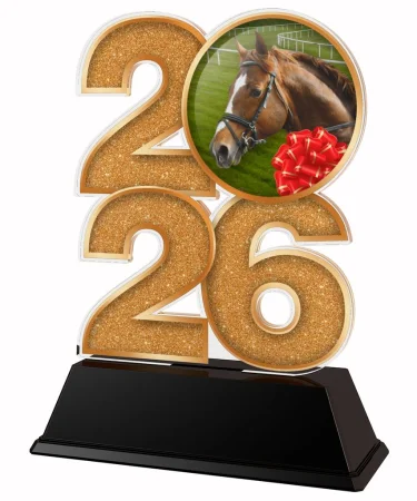 Akrylátová trofej C2026M31 | Jezdectví Výška cm: 12, Šířka cm: 7.5, stříbro