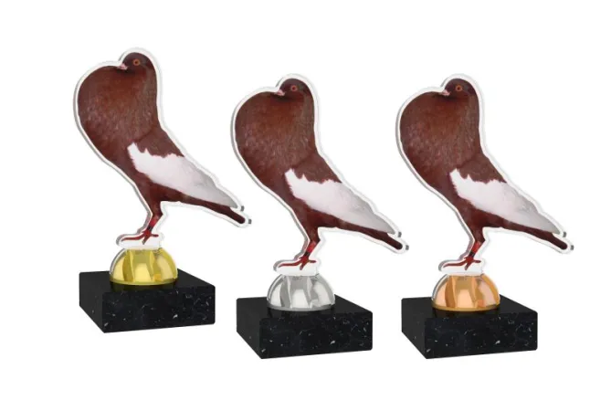 Akrylátová trofej AKEB02M4 | Chovatelství Výška cm: 9, Barva: bronz