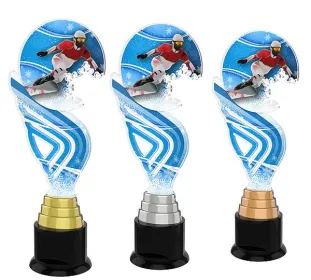 Akrylátová trofej ACTAS0004 | Snowboard Výška cm: 31, Barva: stříbro