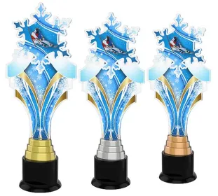 Akrylátová trofej ACTKS0003 | Sjezdové lyžování Výška cm: 28, Barva: stříbro