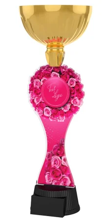 Akrylátová trofej ACUPCGM153 | Valentýn Výška cm: 34,5