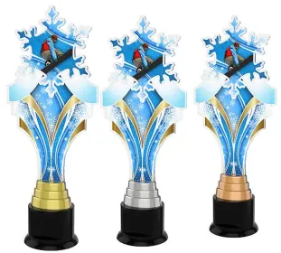 Akrylátová trofej ACTKS0012 | Snowboard Výška cm: 30, Barva: bronz