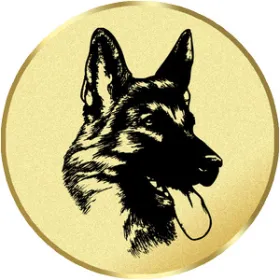 Emblém LTK155 | Kynologie Průměr cm: 2,5
