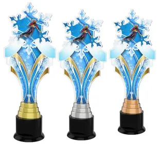 Akrylátová trofej ACTKS0013 | Sjezdové lyžování Výška cm: 28, Barva: bronz