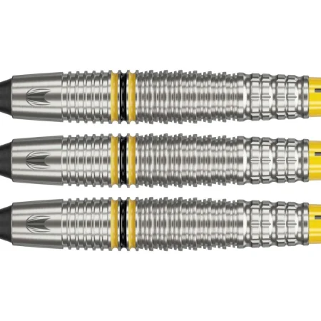 Target - darts Šipky Scott Williams - G2 - 18g