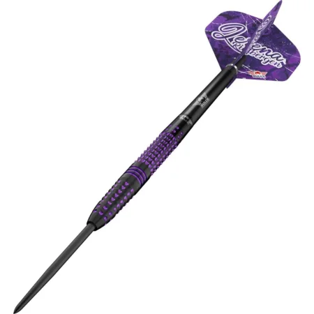 Bull's NL Šipky Steel Lerena Rietbergen - 24g