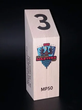 Dřevěná trofej HRANOL 300