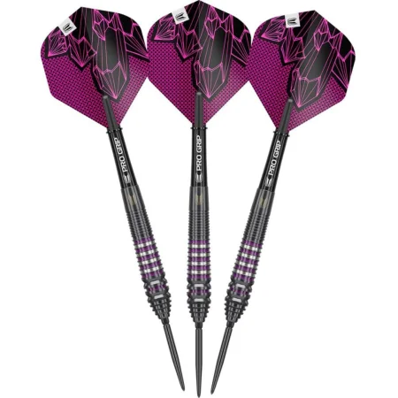 Target - darts Šipky Steel Lorraine Winstanley - G2 - Swiss Point - 24g