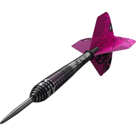 Target - darts Šipky Steel Lorraine Winstanley - G2 - Swiss Point - 24g
