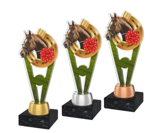 Akrylátová trofej ACUTMINIM12 | Jezdectví Výška cm: 15, Barva: stříbro, Podstavec: bílý