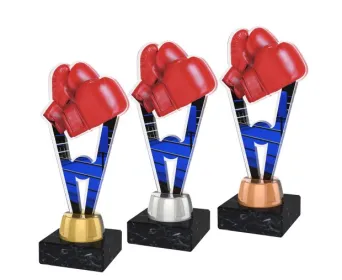 Akrylátová trofej ACUTMINIM16 | Bojová umění Výška cm: 17, Barva: zlato, Podstavec: bílý