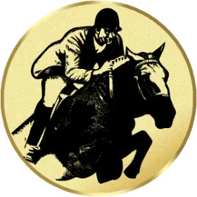Emblém LTK163 | Jezdectví Průměr cm: 2,5