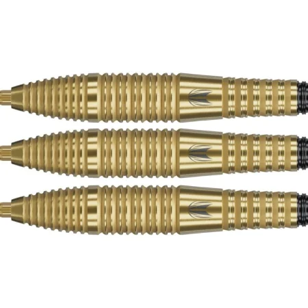 Target - darts Šipky Steel Bolide Envy 05 - Swiss Point - 22g