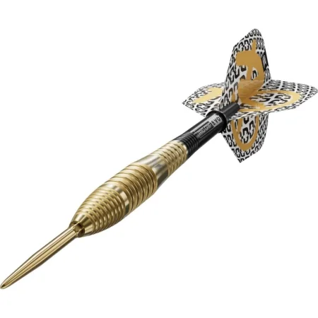 Target - darts Šipky Steel Bolide Envy 05 - Swiss Point - 22g