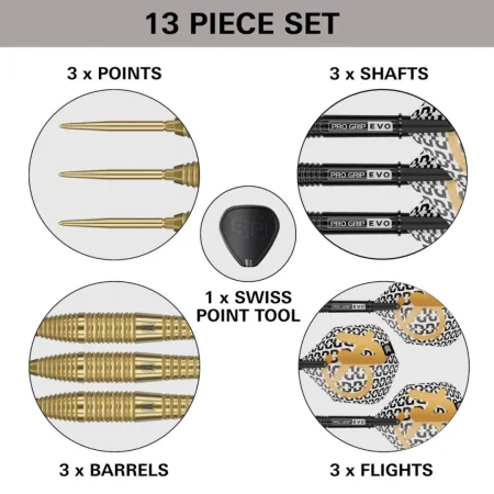 Target - darts Šipky Steel Bolide Envy 05 - Swiss Point - 22g
