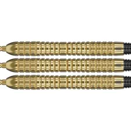 Target - darts Šipky Steel Bolide Envy 04 - Swiss Point - 21g