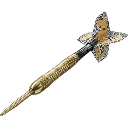 Target - darts Šipky Steel Bolide Envy 04 - Swiss Point - 21g