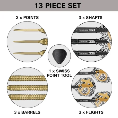 Target - darts Šipky Steel Bolide Envy 04 - Swiss Point - 21g
