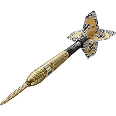Target - darts Šipky Steel Bolide Envy 03 - Swiss Point - 22g