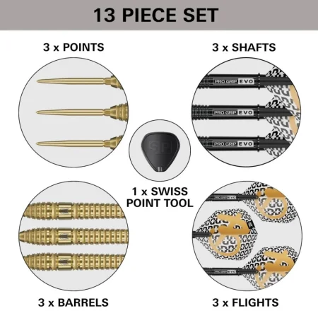 Target - darts Šipky Steel Bolide Envy 03 - Swiss Point - 22g