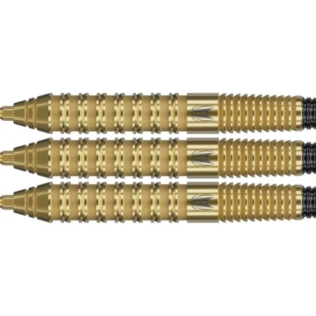 Target - darts Šipky Steel Bolide Envy 02 - Swiss Point - 22g