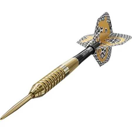 Target - darts Šipky Steel Bolide Envy 02 - Swiss Point - 22g