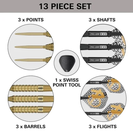 Target - darts Šipky Steel Bolide Envy 02 - Swiss Point - 22g