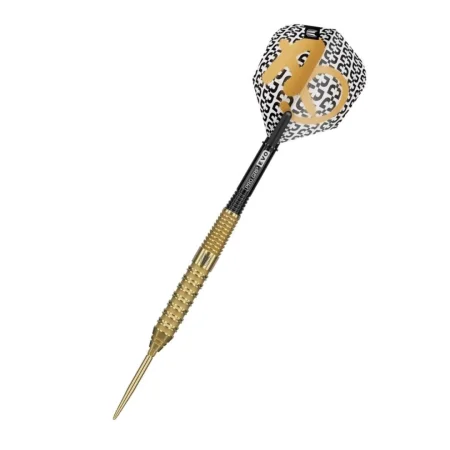Target - darts Šipky Steel Bolide Envy 02 - Swiss Point - 22g
