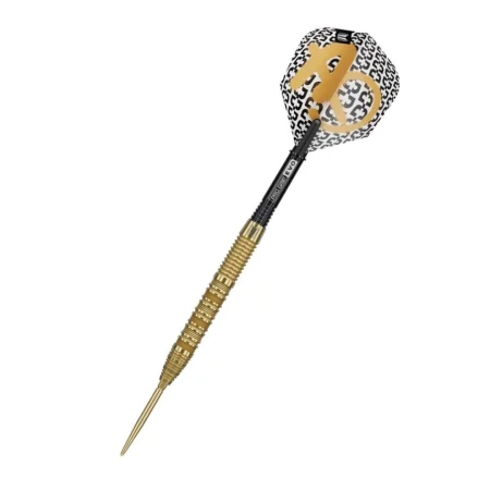 Target - darts Šipky Steel Bolide Envy 01 - Swiss Point - 22g