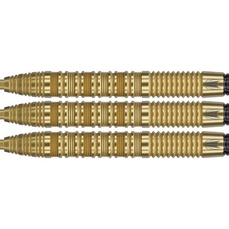 Target - darts Šipky Steel Bolide Envy 01 - Swiss Point - 22g