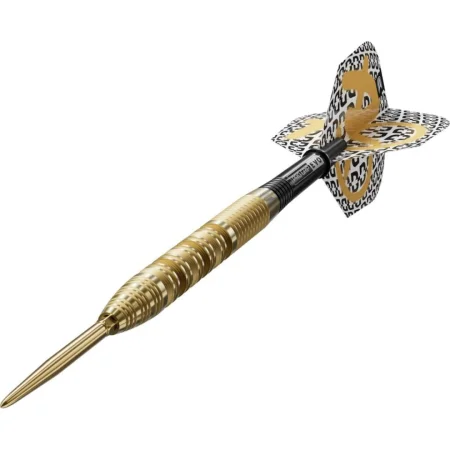 Target - darts Šipky Steel Bolide Envy 01 - Swiss Point - 22g