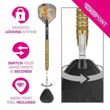 Target - darts Šipky Steel Bolide Envy 01 - Swiss Point - 22g