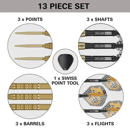 Target - darts Šipky Steel Bolide Envy 01 - Swiss Point - 22g