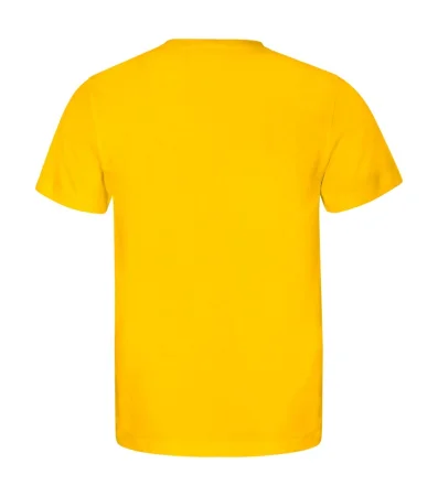Tričko pánské Edge 813 - 3XL - žlutá