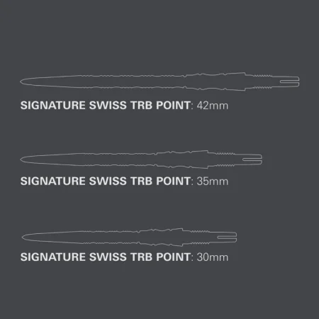 Target - darts Kovové hroty - Swiss Points - Signature TRB - Silver - 30 mm