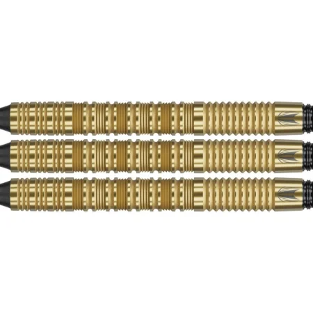 Target - darts Šipky Bolide Envy 10 - 18g
